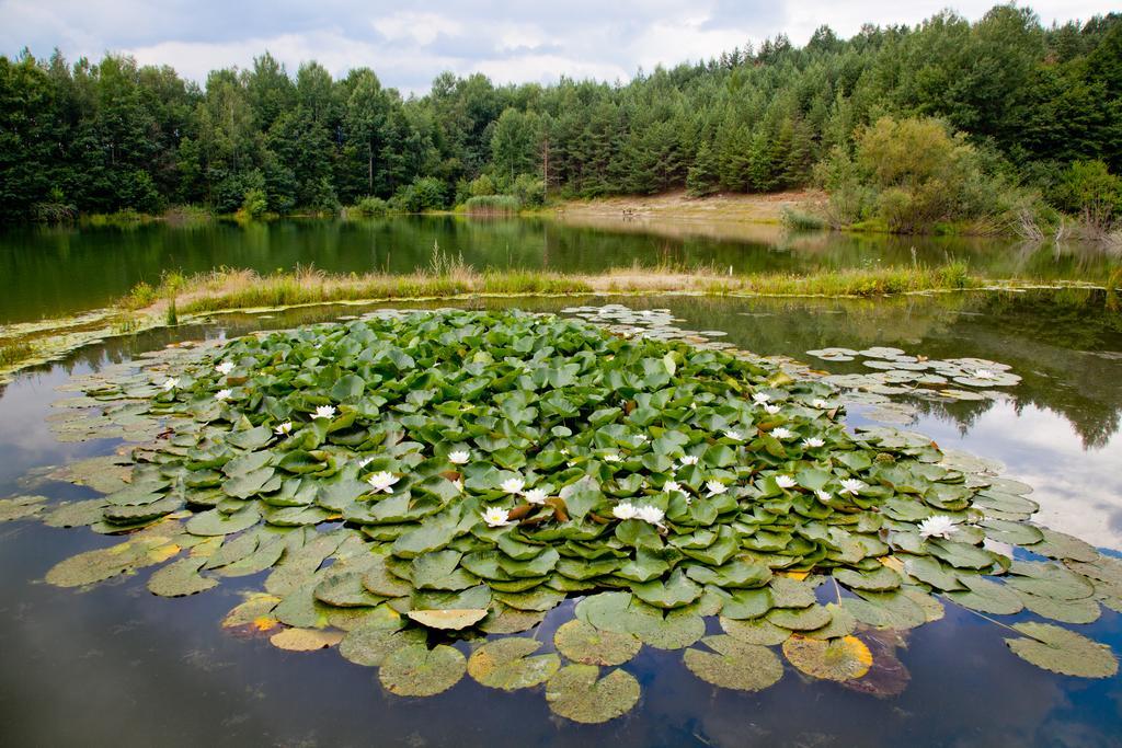 Rezidence U Jezera Hotel Jeseník Buitenkant foto