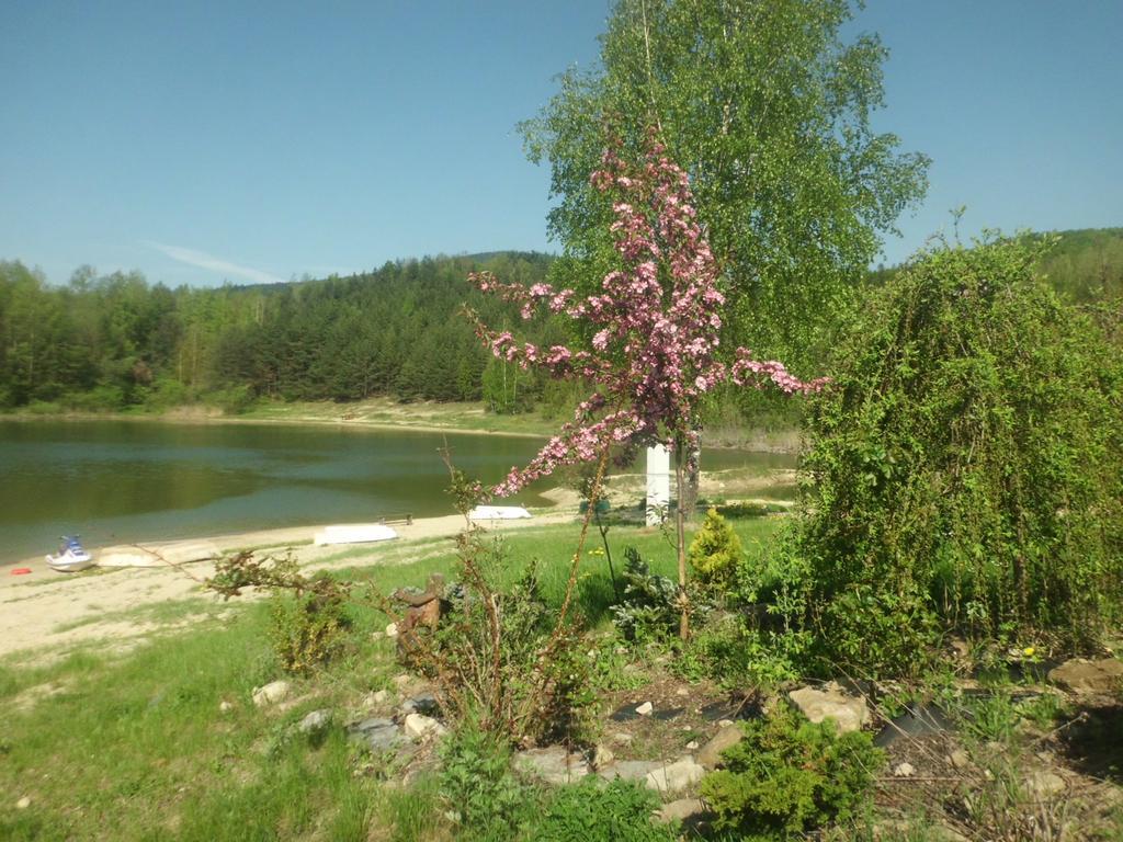 Rezidence U Jezera Hotel Jeseník Buitenkant foto